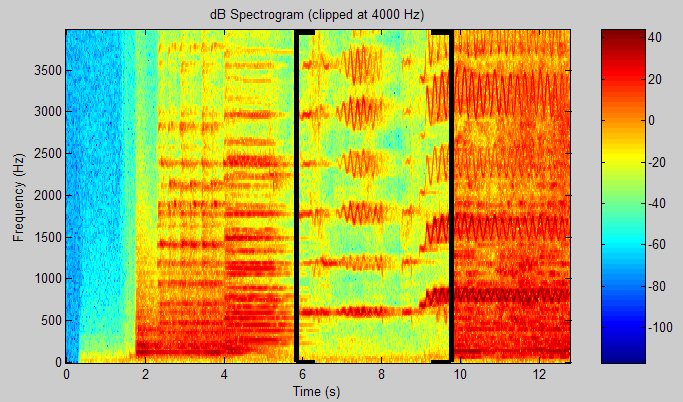 Spectrogram with solo section labeled.